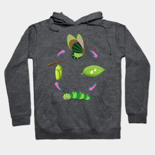 Butterfly life cycle Hoodie